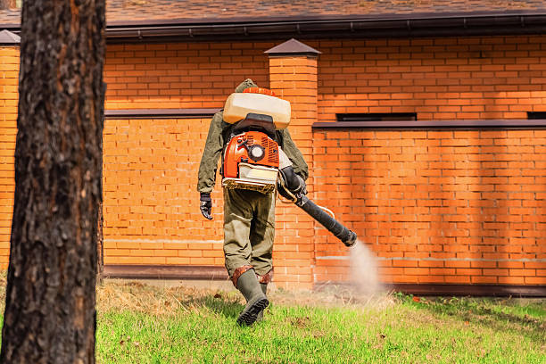 Trusted Ant Control service in Sour Lake, TX - Nex Pest Control